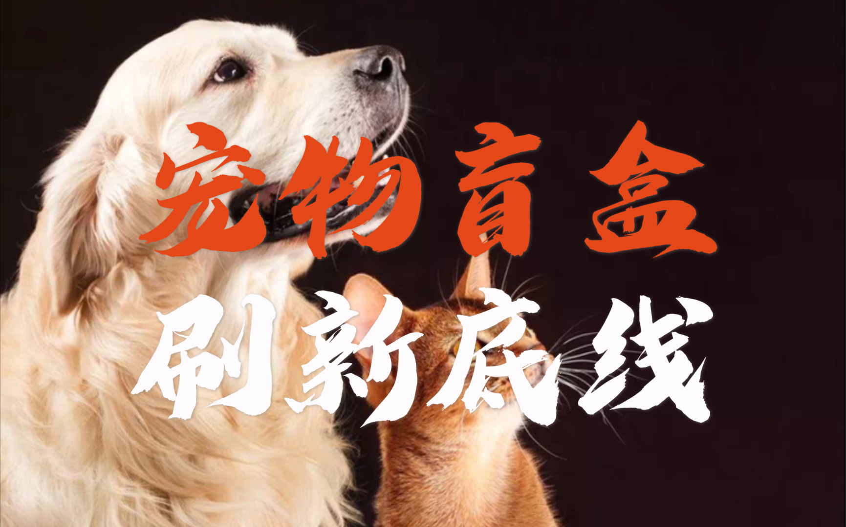 宠物盲盒,奸商再一次刷新了道德下限