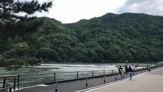 京都嵐山天龍寺紅葉曹源池庭園tenryuji Temple In Arashiyama 哔哩哔哩 Bilibili