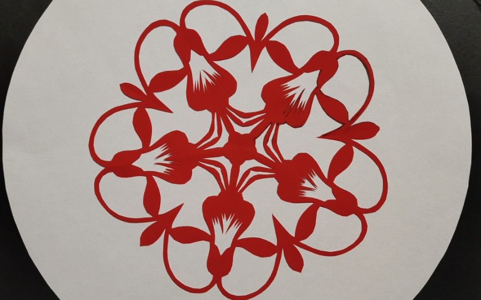 每日一剪|灯笼花