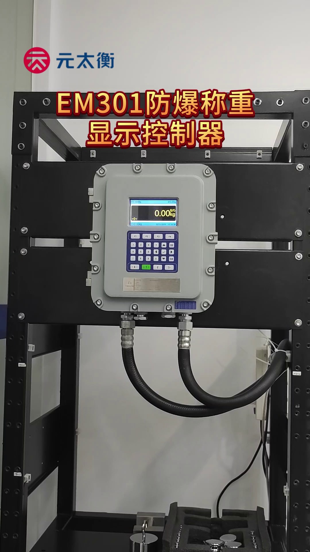 em301防爆称重显示控制器