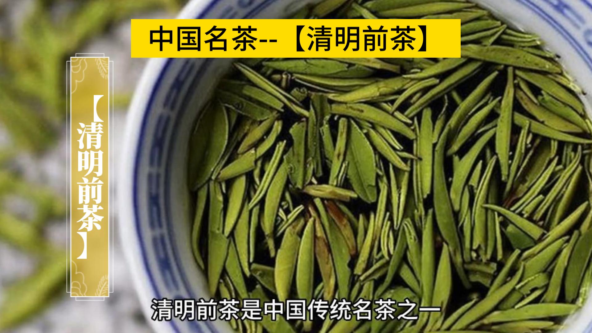 中国名茶【清明前茶】 清明前茶所采制的茶叶品质高、口感醇厚哔哩哔哩bilibili