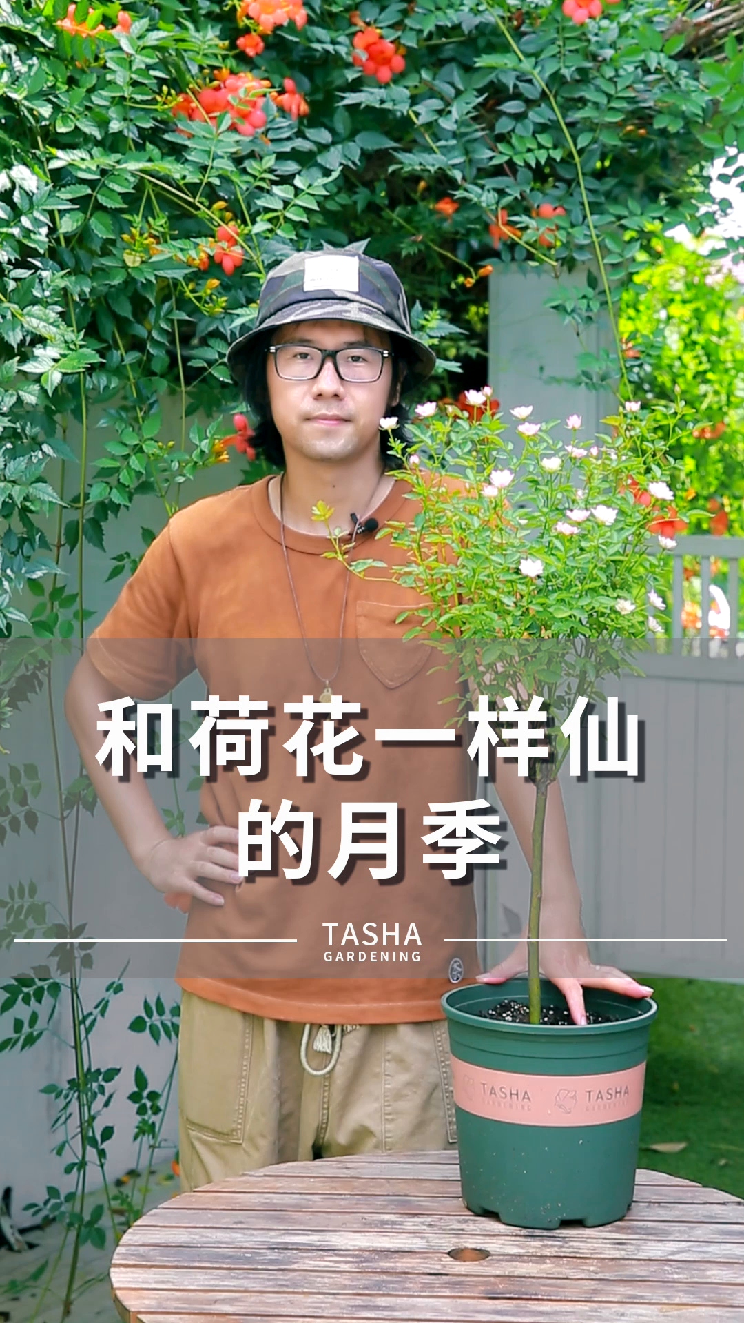 [图]这款荷花花型的丰花微月-天荷，推荐给大家~