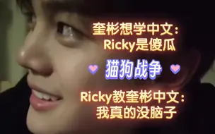 Ricky教奎彬中文：我真的没脑子（被猫狗笑死）中字