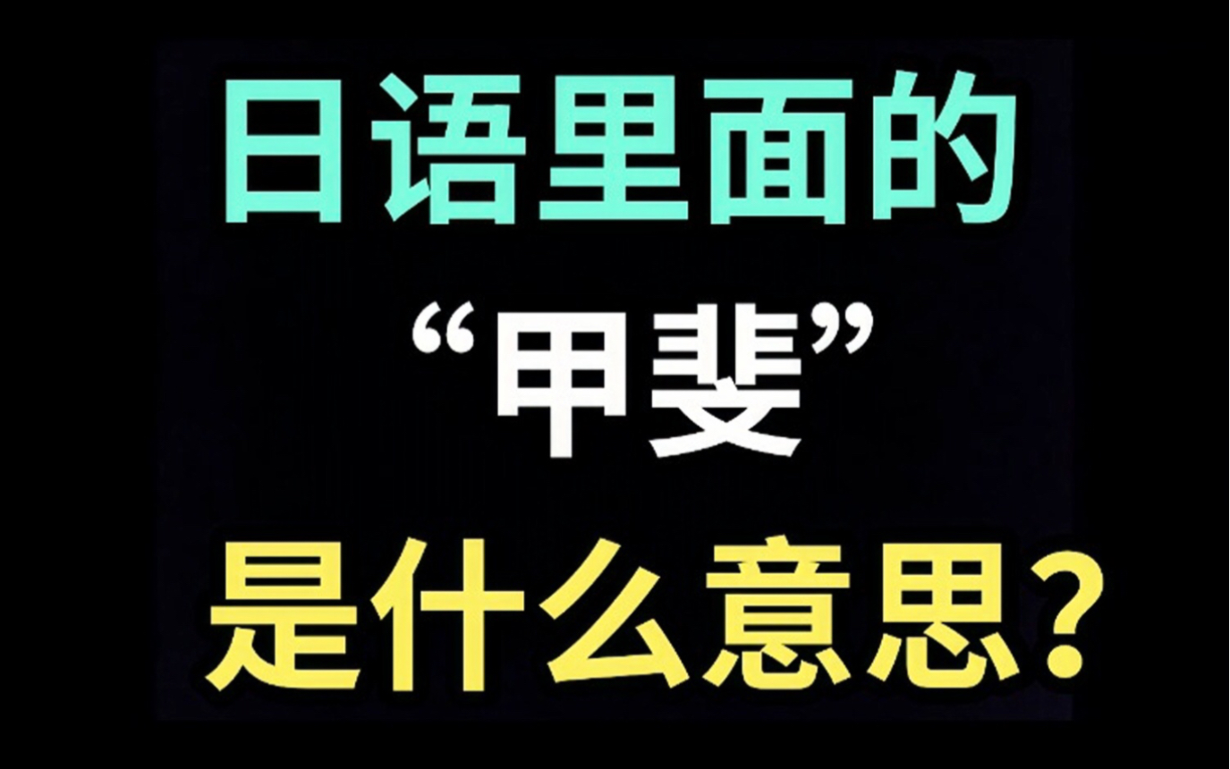 日语里的“甲斐”是什么意思?【每天一个生草日语】哔哩哔哩bilibili