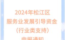 2024年松江区服务业发展引导资金 (行业类支持)申报通知哔哩哔哩bilibili