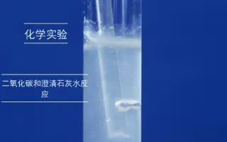 澄清石灰水 搜索结果 哔哩哔哩 Bilibili