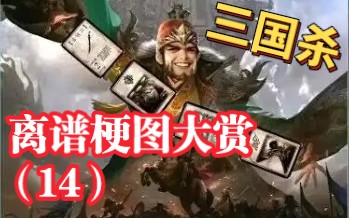 [图]【三国杀】离谱梗图大赏（14）三国杀玩家的团结之处