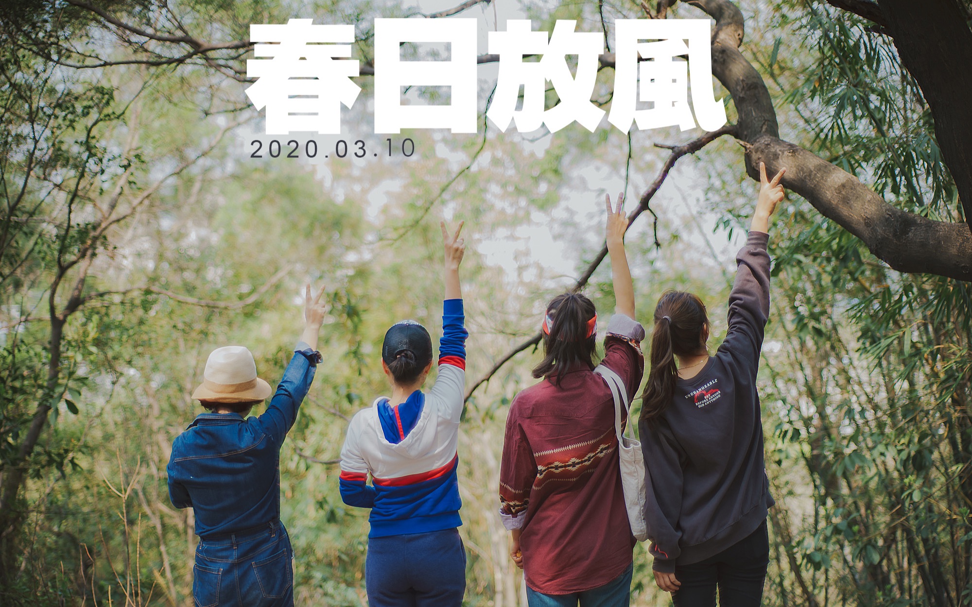 春日放风