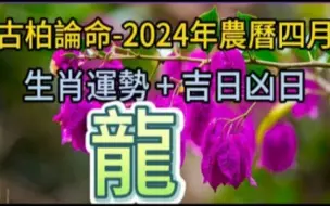 Télécharger la video: 【古柏論命每月運勢+吉日凶日】2024年農曆四月(陽曆2024年5_8 ~ 6_5)生肖運勢分享 -  龍