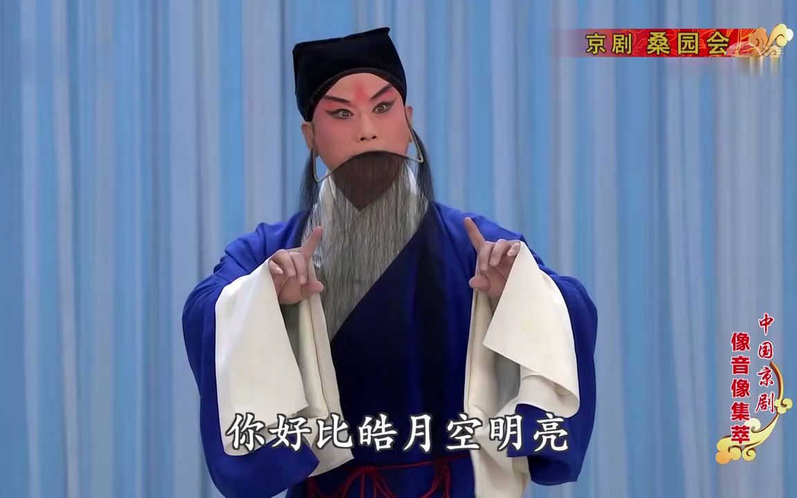 [图]【像音像】《桑园会》黄炳强 李红梅 毕小洋