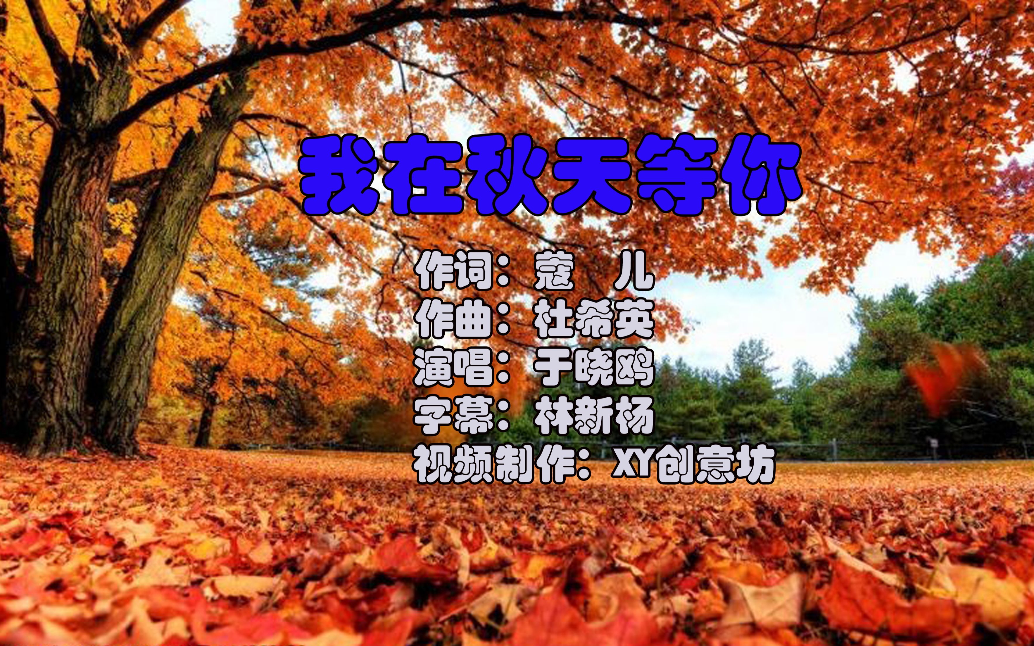 我在秋天等你伴奏卡拉ok