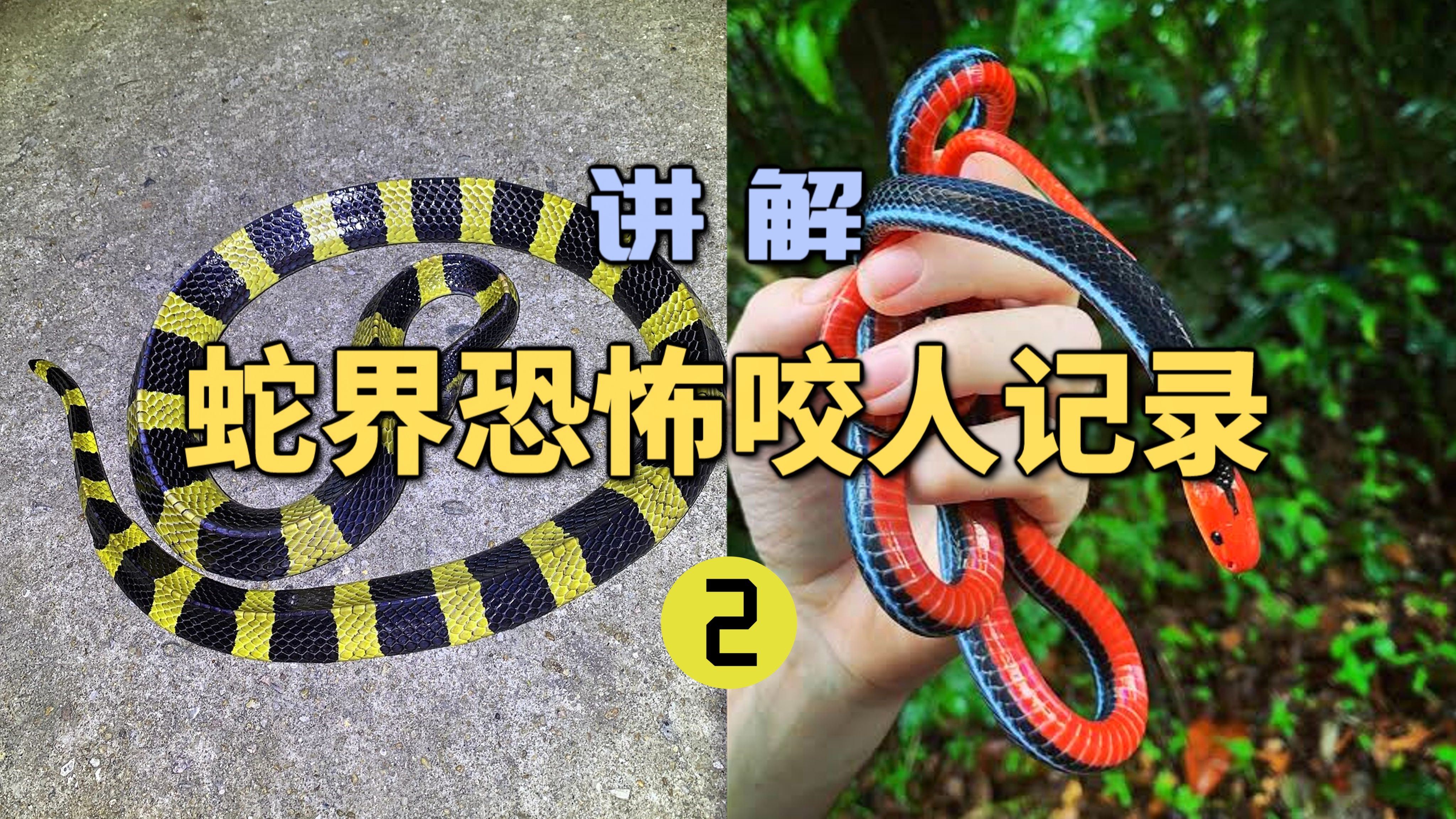 bilibili bilibili