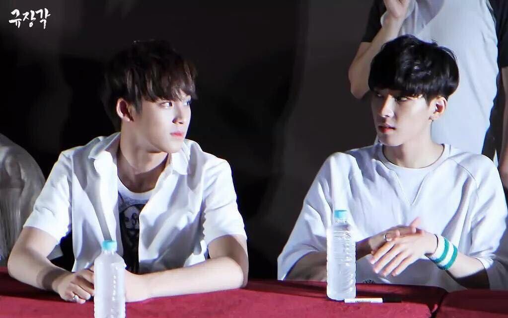 seventeen {meanie}金珉奎 vs全圆佑 -- polaris