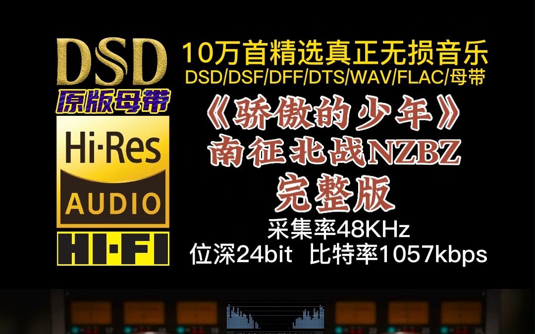 10万首精选真正DSD无损HIFI音乐,百万调音师制作:南征北战《骄傲的少年》完整版,趁着还年轻,努力去冲一把吧哔哩哔哩bilibili