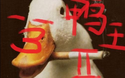 [图]鸭王滑铁卢丨Duck Game 12.2录像