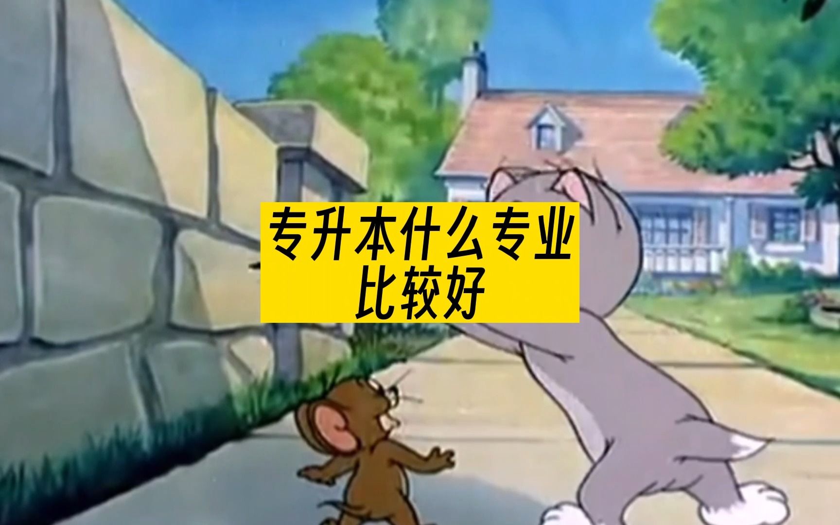 专升本什么专业比较好?哔哩哔哩bilibili