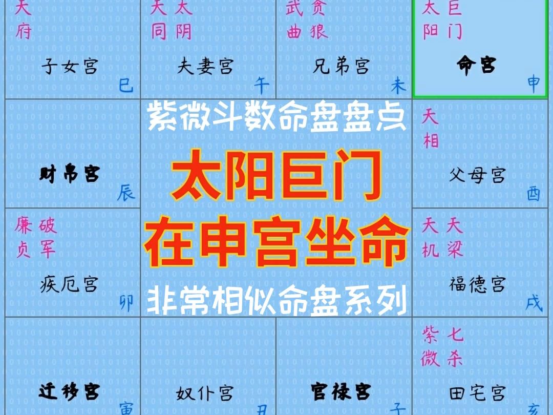 太阳巨门在申宫坐命(紫微斗数非常相似命盘盘点)哔哩哔哩bilibili