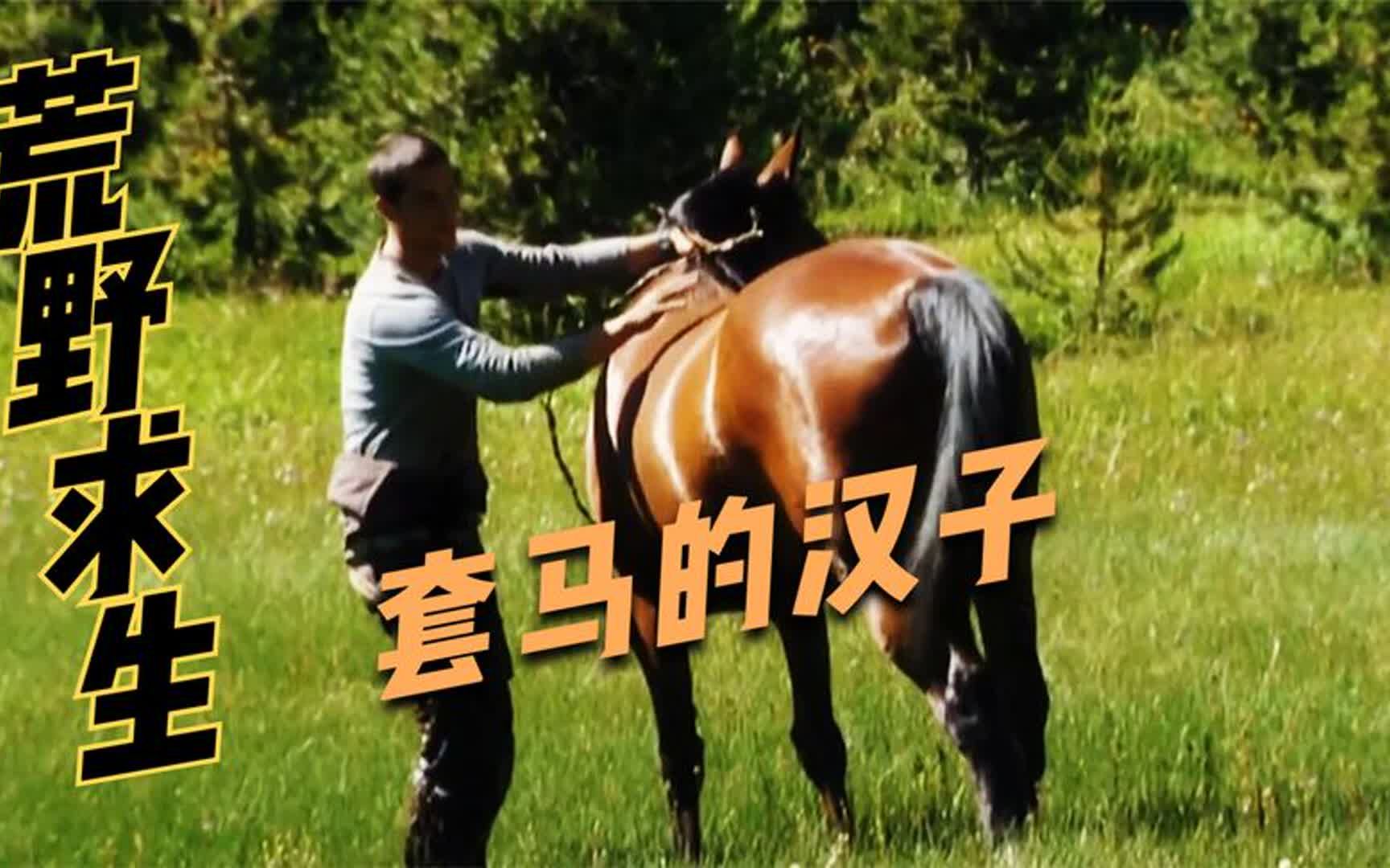 贝爷化身套马的汉子,使出浑身解数只为驯服脱缰的野马,纪录片!