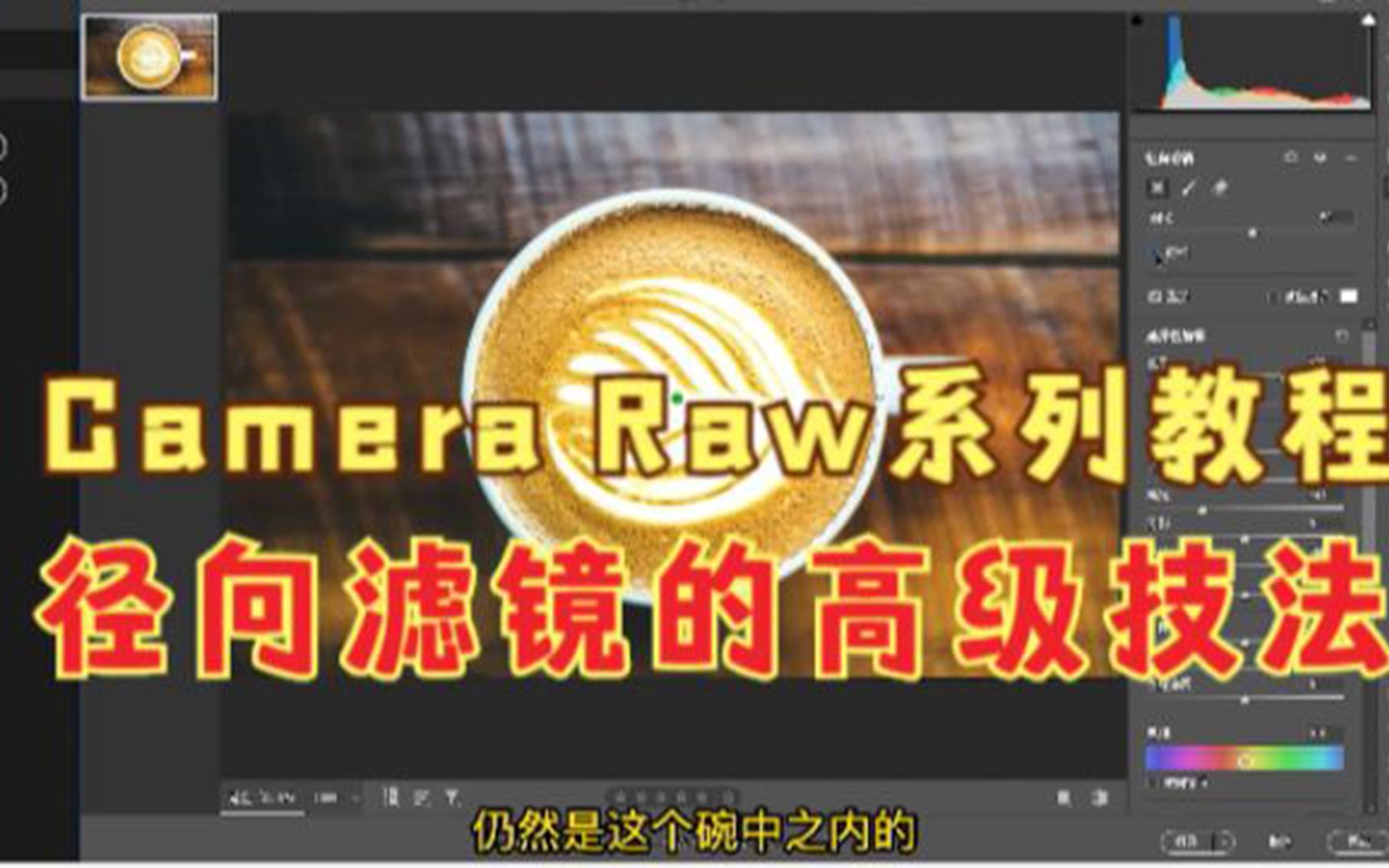 Camera Raw系列教程,ACR径向滤镜的功能,径向滤镜的高级技法哔哩哔哩bilibili