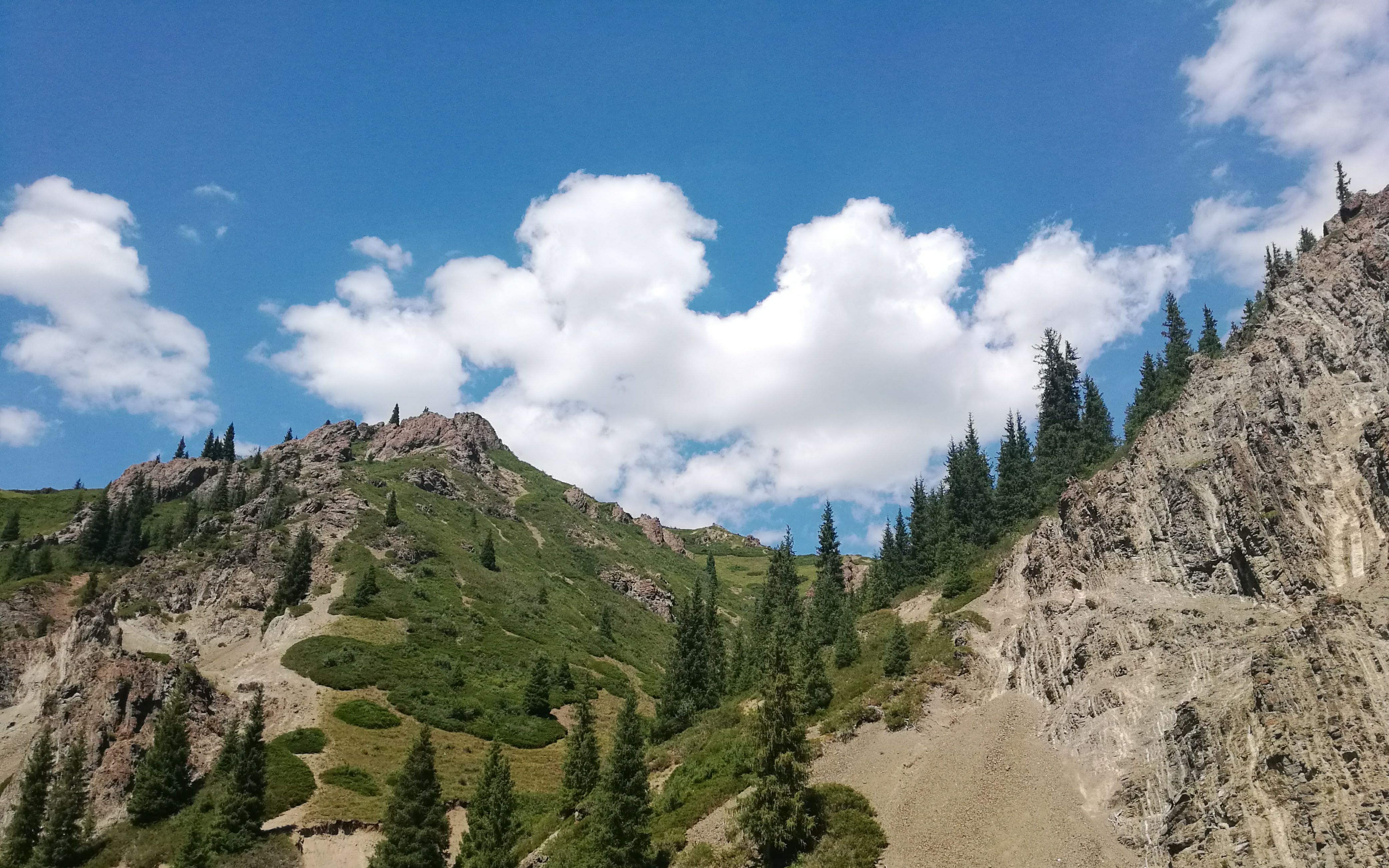 【深山老林】新疆景區爬山取景