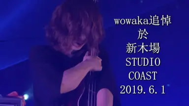 シノダ-哔哩哔哩_Bilibili