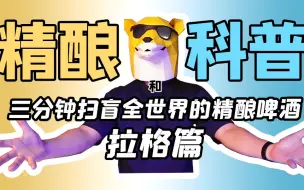 Download Video: 【精酿科普】3分钟带你扫盲全世界的精酿啤酒【拉格篇】