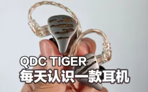 Download Video: 每天认识一款耳机｜QDC TIGER