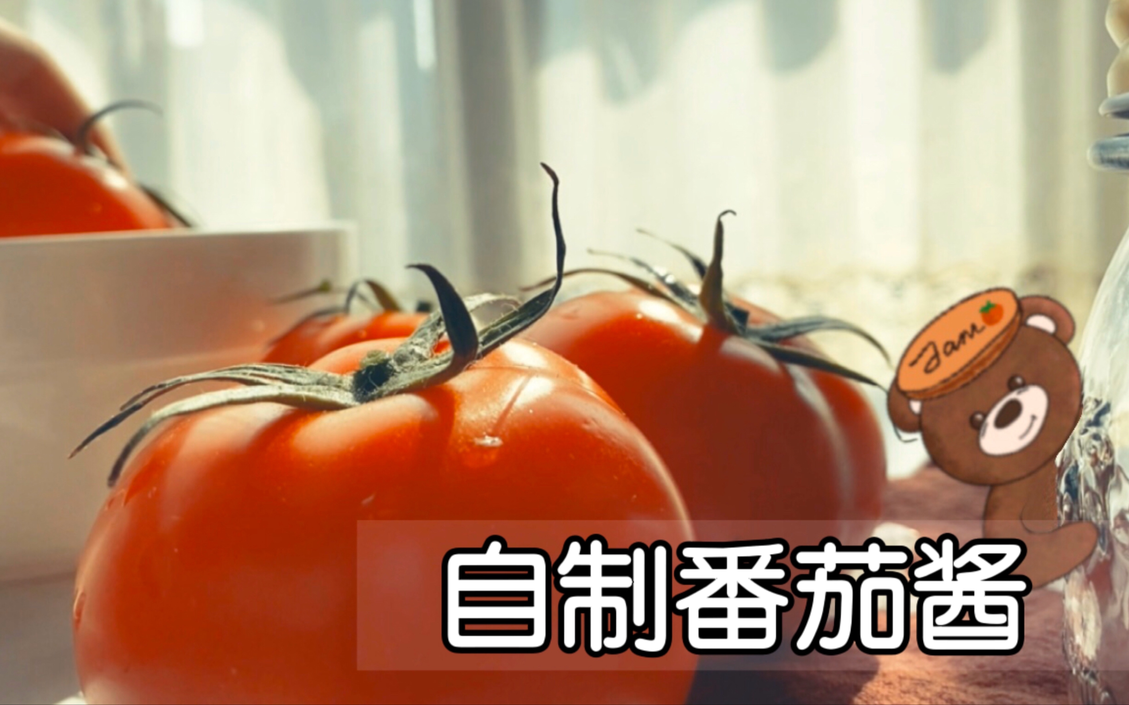 微小而奢侈的幸福𐟍…|自制番茄酱𐟍…|Homemade Tomato Sauce哔哩哔哩bilibili