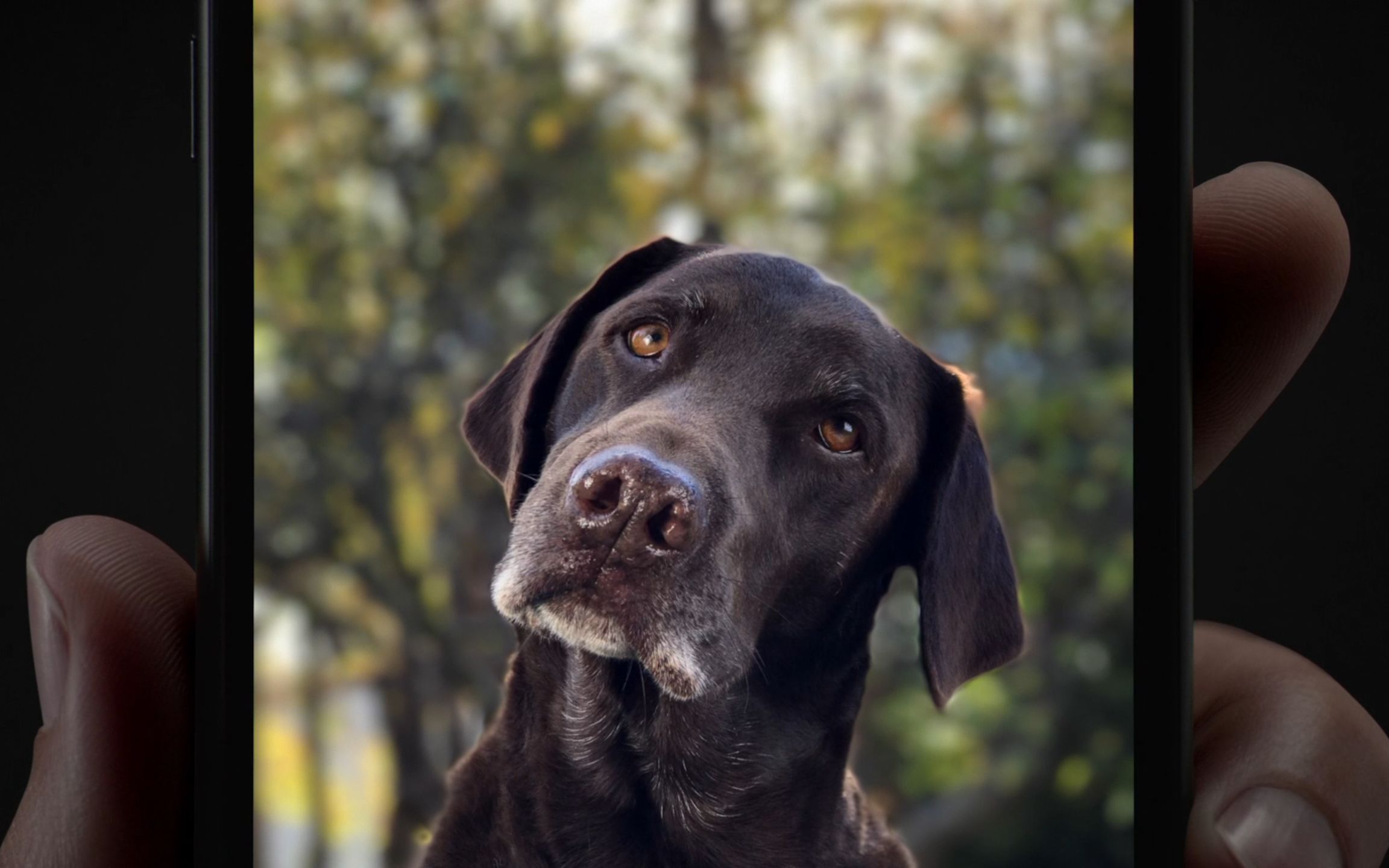 20171080piphone7plus人像模式合集