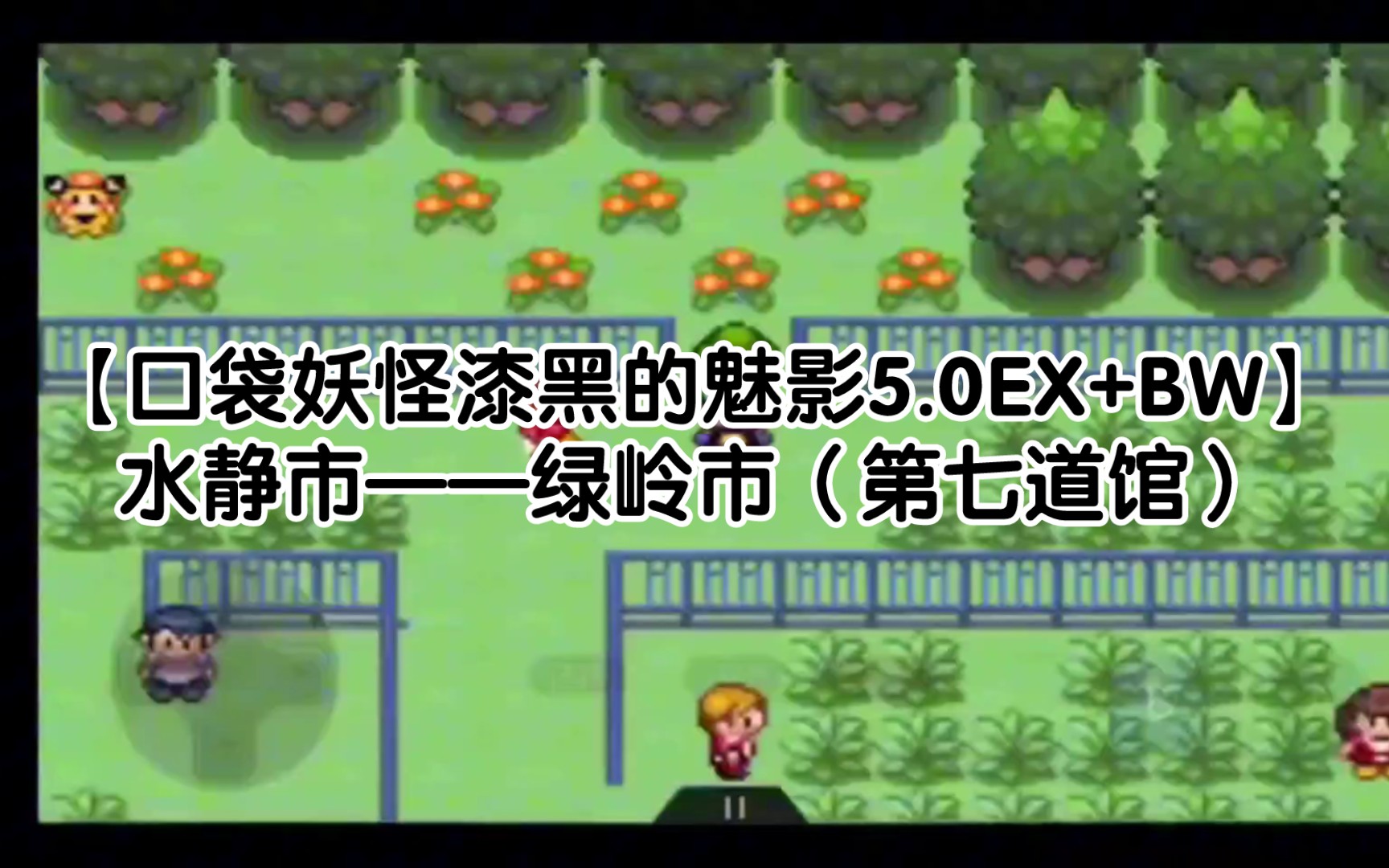 【口袋妖怪漆黑的魅影5.0EX+BW】水静市——绿岭市(第七道馆)