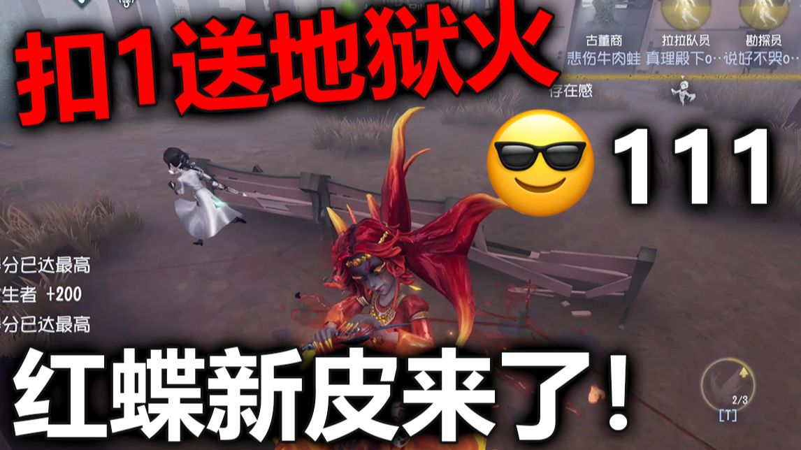 【飞莎儿】红蝶新紫皮实战!感觉不如竹华啊?