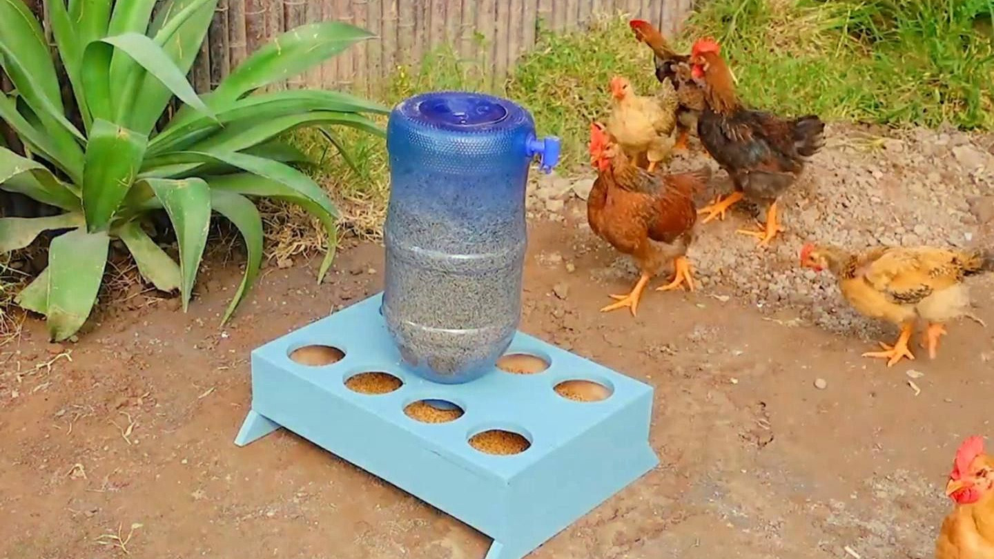 废旧木板水桶改造鸡食槽:钻孔粘贴装饲料,简易又实用 #手工打造 #制作