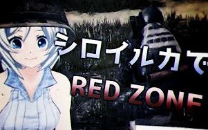 白海豚的RED ZONE哔哩哔哩bilibili