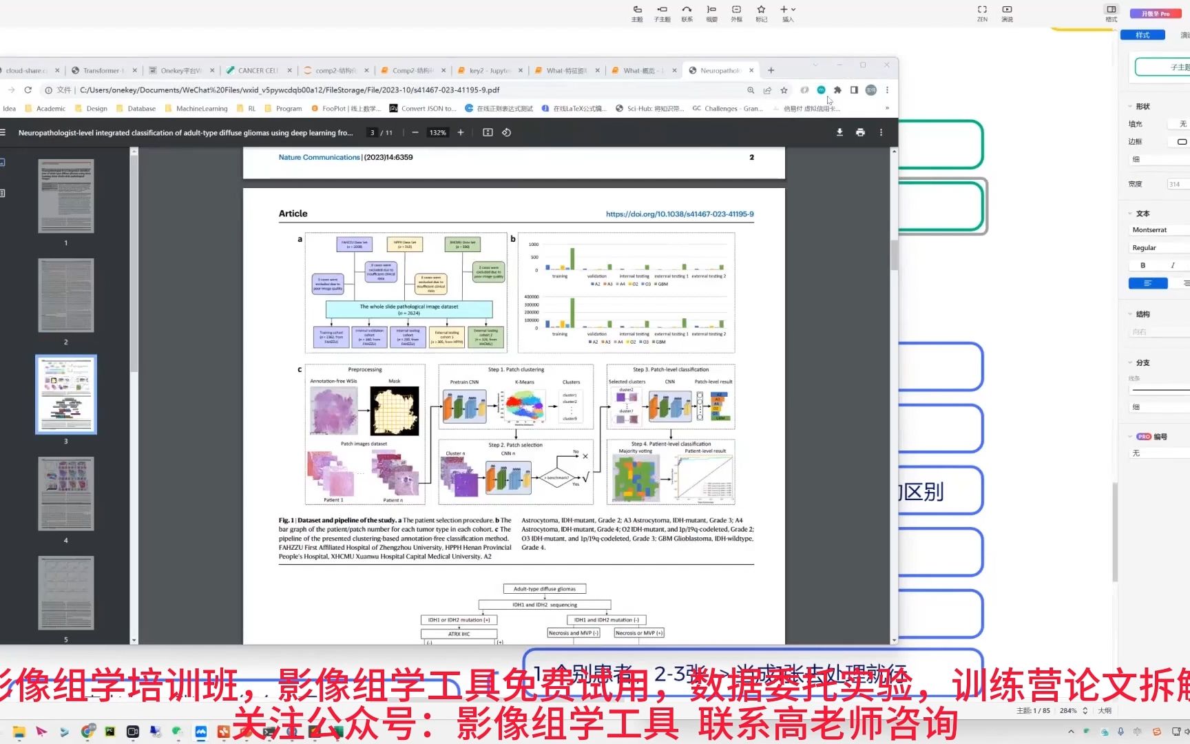 影像组学与多组学数据整合在转化子癌症预测中的综合应用哔哩哔哩bilibili