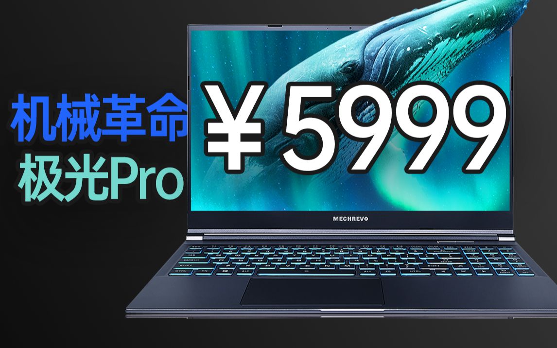  pro mini mini 