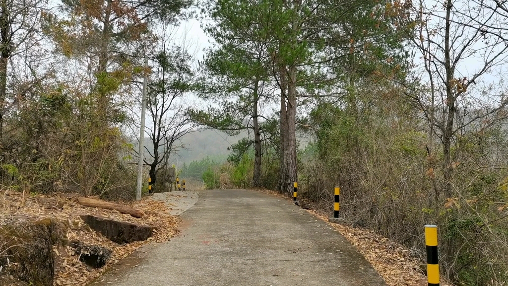 山区的马路