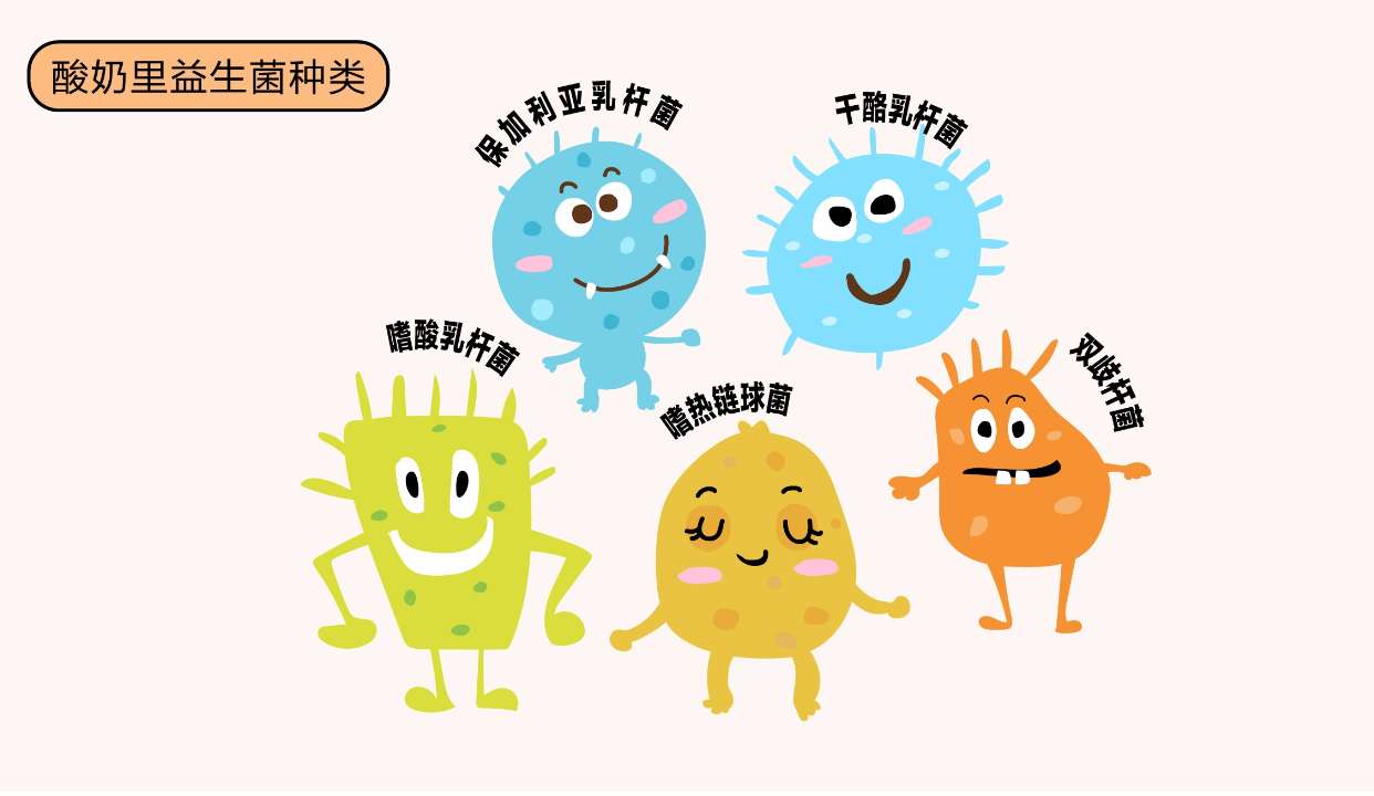 【60s没牌子】酸奶的益生菌真的助消化,减肥?