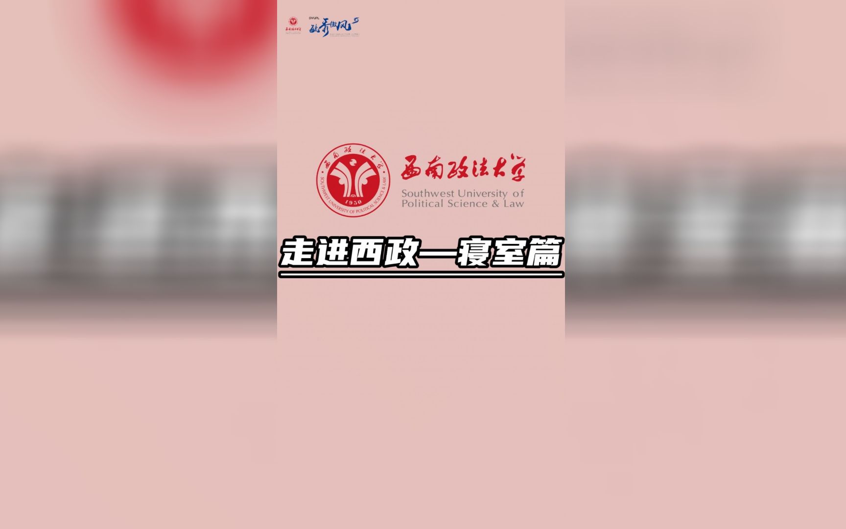 等你 | 你们要看的西政寝室来啦~哔哩哔哩bilibili