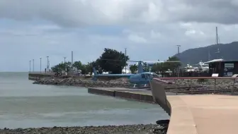 哟哟哟