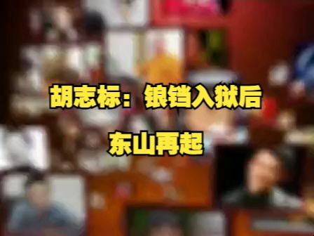 胡志标:锒铛入狱后东山再起哔哩哔哩bilibili