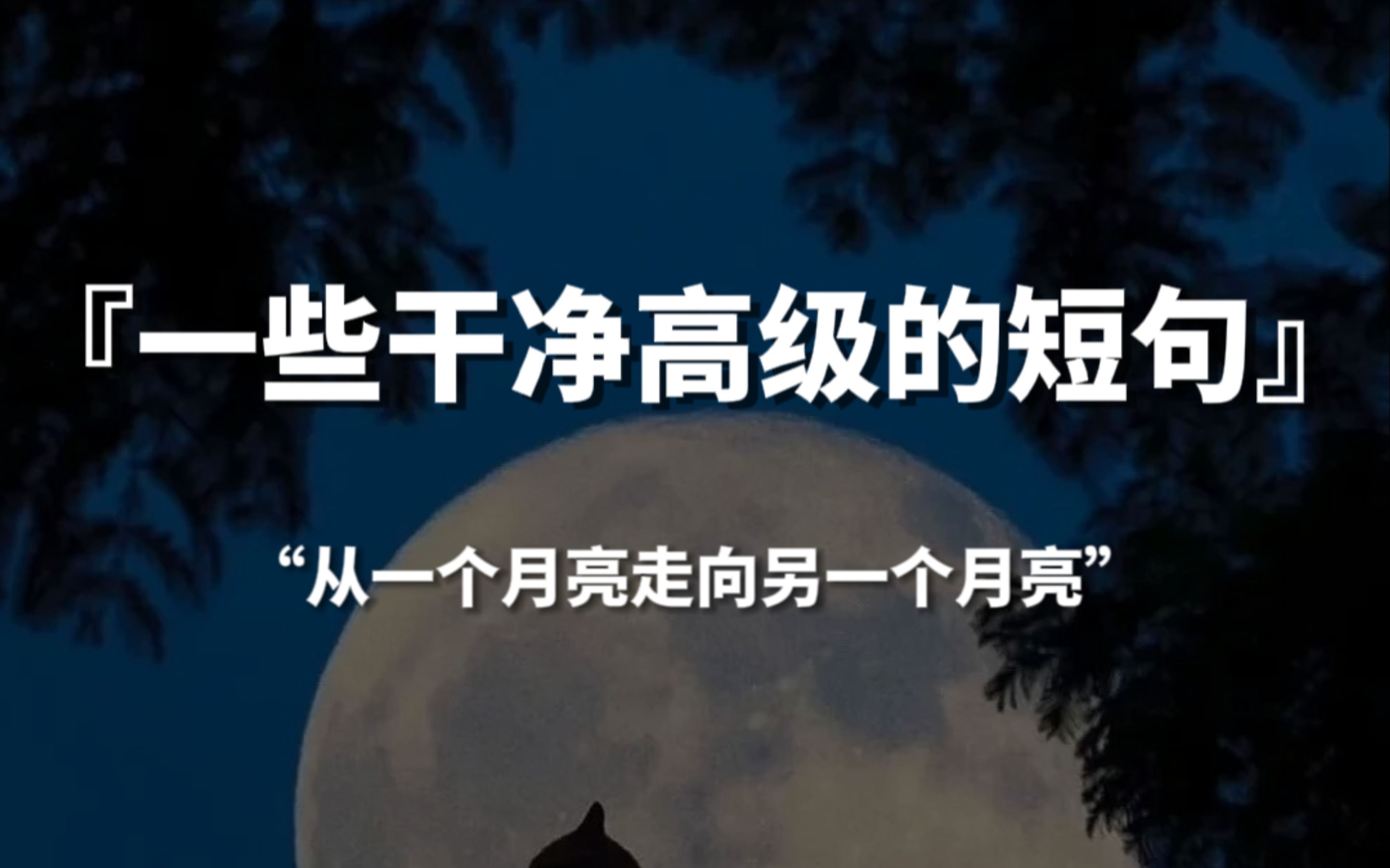 【句子控】“从一个月亮走向另一个月亮”,一些干净高级的短句哔哩哔哩bilibili