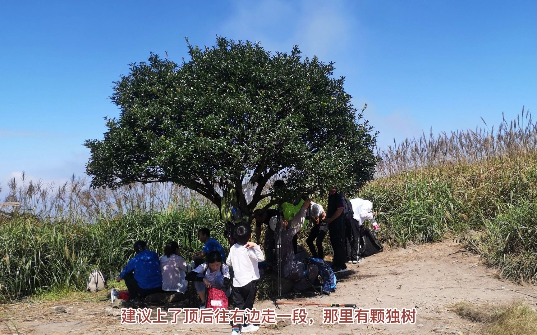 白云嶂银瓶嘴双登,深莞惠热门徒步线路,入门级别,一条线路走过惠阳最高峰和东莞最高峰,也是离深圳最近的千米山哔哩哔哩bilibili