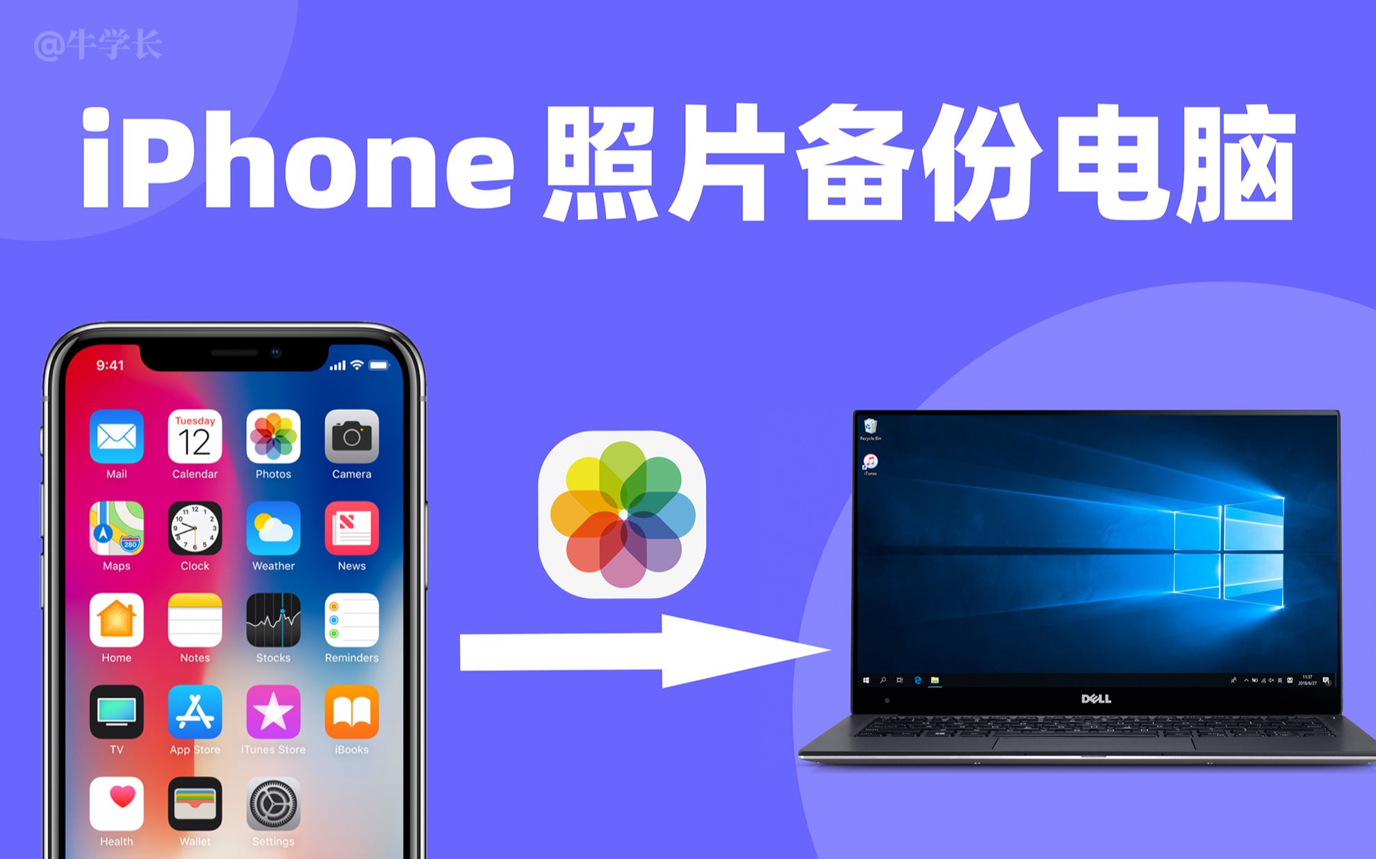 【2023】把苹果手机照片备份到电脑上的 4 个快捷方法!