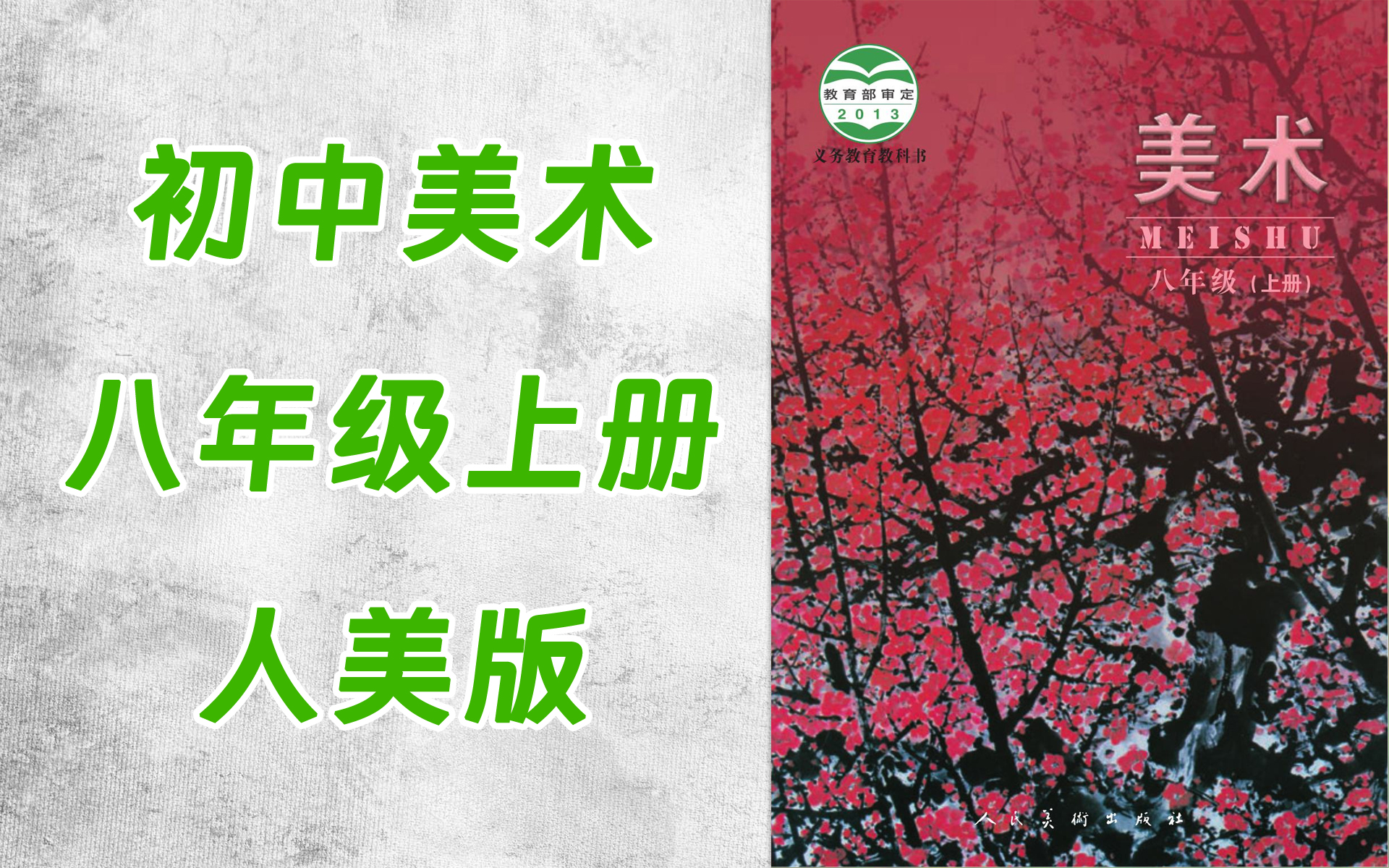 tt0026-236-初中八年级美术人美版(主编:杨力)上册-全16集