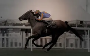 Download Video: 【全力混剪】现役最顶级的骑师们 How to race a horse？