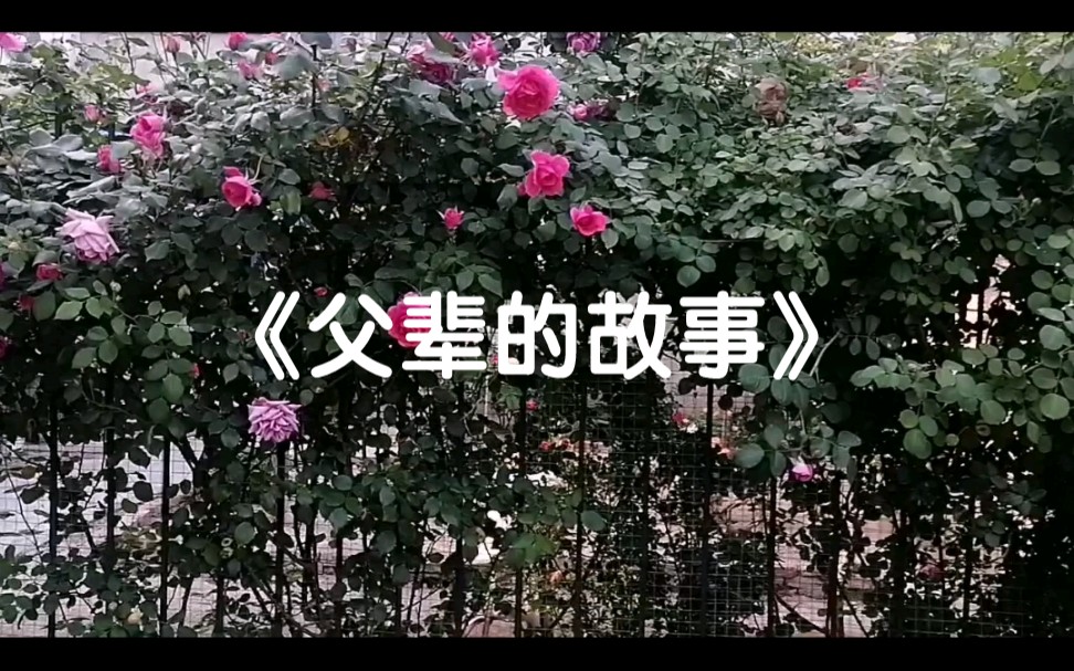 毛概作业之《父辈的故事》哔哩哔哩bilibili