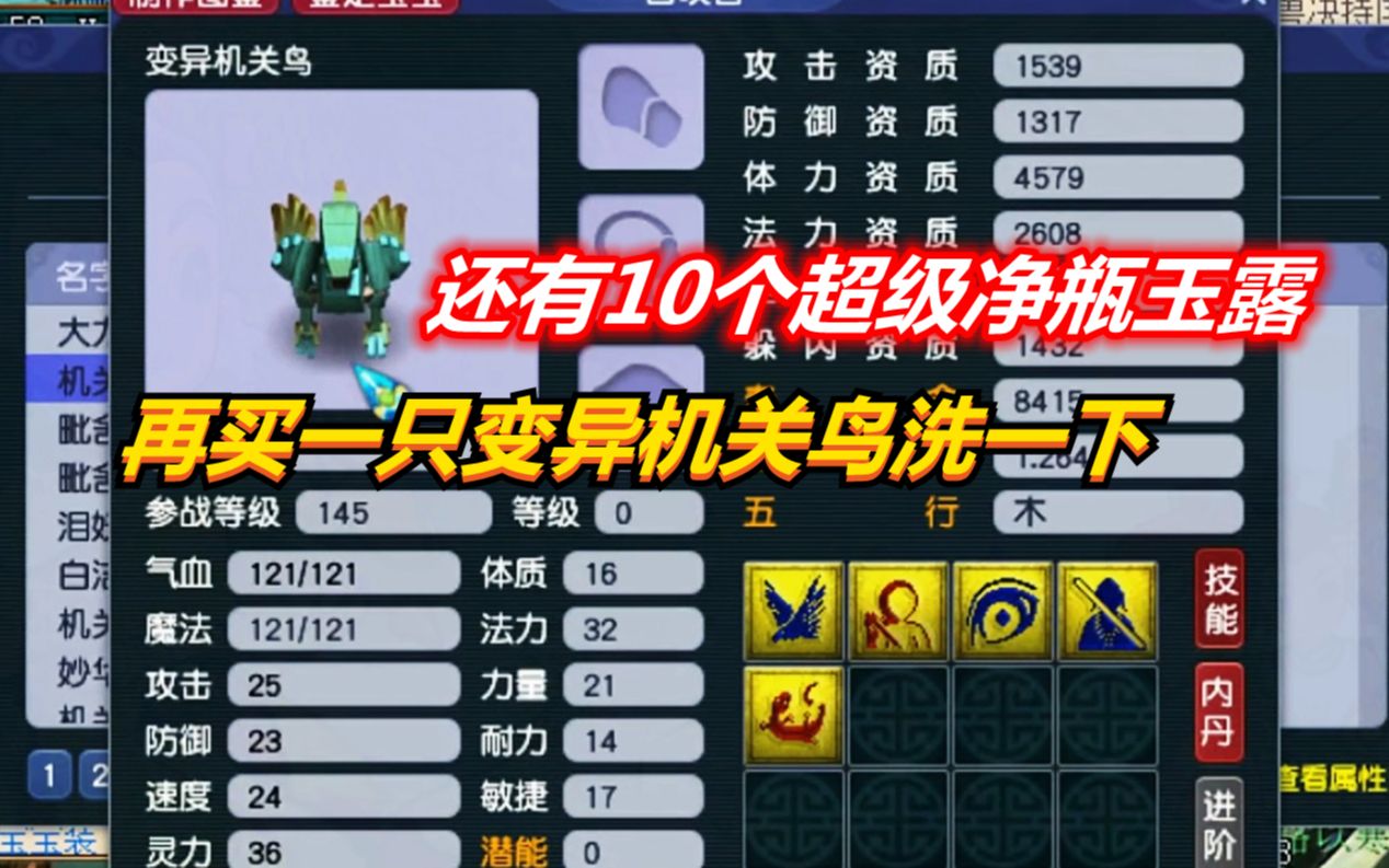 梦幻西游:还有10个超级净瓶玉露,再买只变异机关鸟洗一下