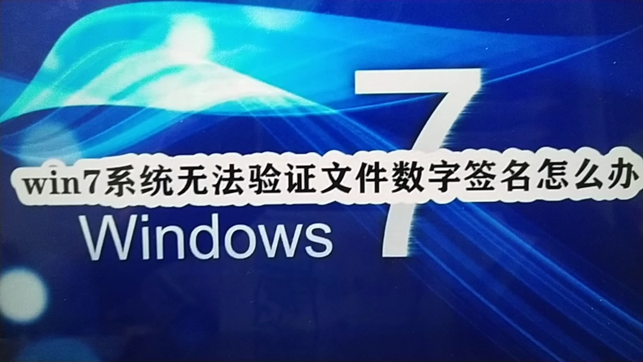 "win系统无法验证文件数字签名,一招教你解决!"哔哩哔哩bilibili