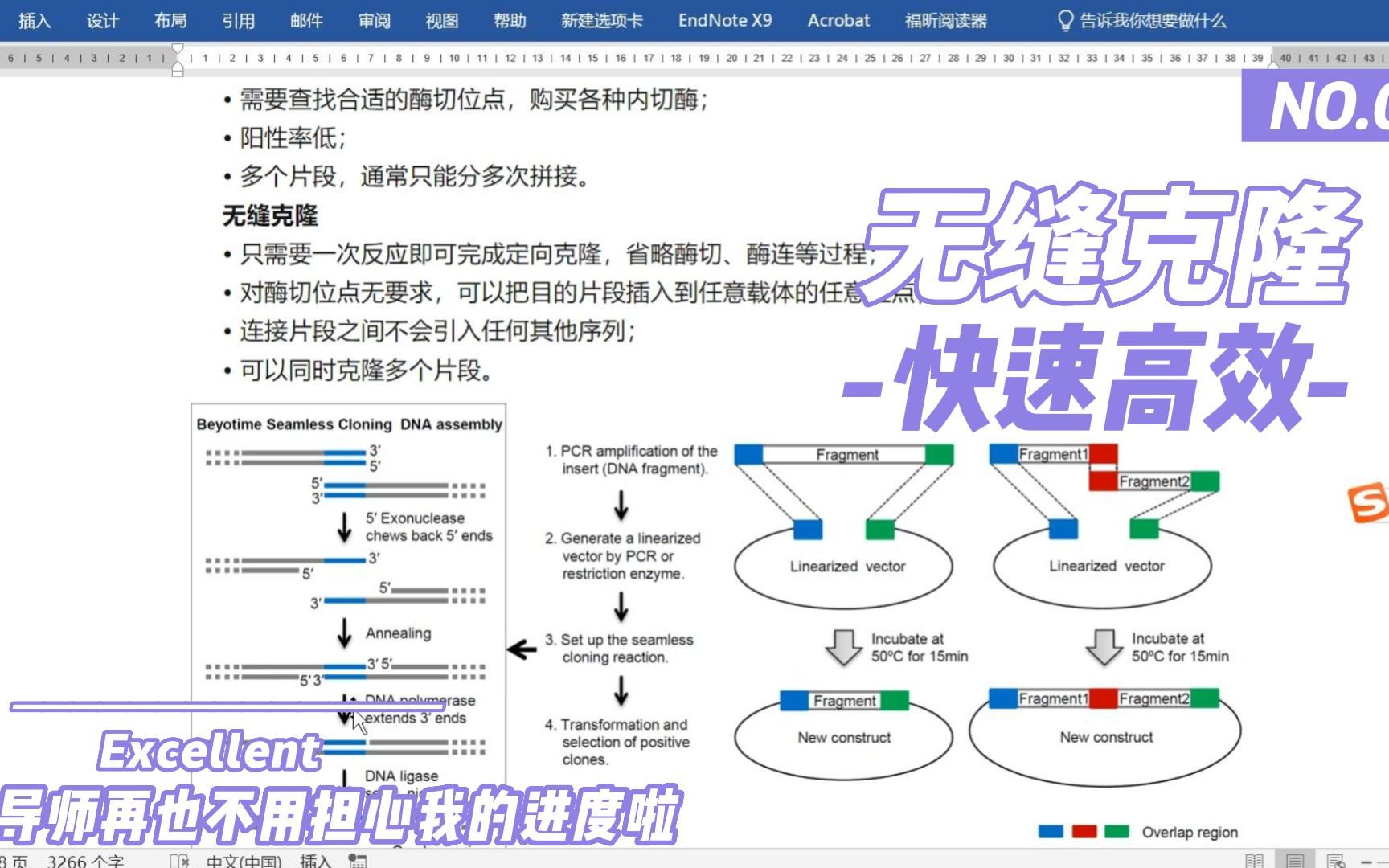 【无缝克隆/同源重组】无缝克隆引物设计哔哩哔哩bilibili