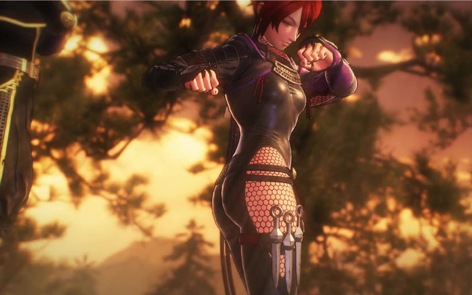 战国无双5游戏流程,故事模式,游戏攻略第九集,女忍巳月,第三章第二战